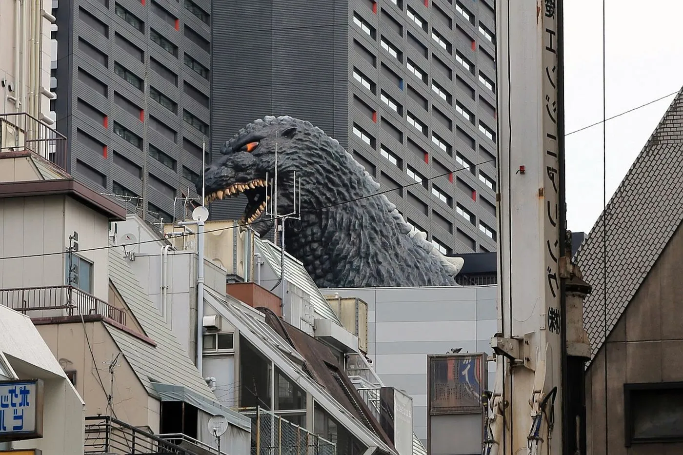 Godzilla-Statue ueber den Strassen von Kabukicho